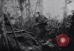 Image of New Guinea Campaign Papua New Guinea, 1944, second 55 stock footage video 65675020569