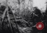 Image of New Guinea Campaign Papua New Guinea, 1944, second 56 stock footage video 65675020569