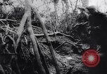 Image of New Guinea Campaign Papua New Guinea, 1944, second 57 stock footage video 65675020569