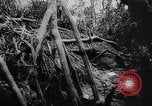 Image of New Guinea Campaign Papua New Guinea, 1944, second 58 stock footage video 65675020569