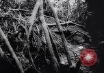 Image of New Guinea Campaign Papua New Guinea, 1944, second 59 stock footage video 65675020569