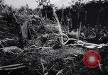 Image of New Guinea Campaign Papua New Guinea, 1944, second 60 stock footage video 65675020569