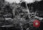 Image of New Guinea Campaign Papua New Guinea, 1944, second 61 stock footage video 65675020569