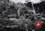 Image of New Guinea Campaign Papua New Guinea, 1944, second 62 stock footage video 65675020569