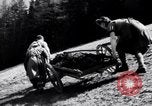Image les agriculteurs allemands Allemagne, 1944, de la seconde 20 séquences d'archives historiques vidéo 65675020573