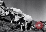 Image les agriculteurs allemands Allemagne, 1944, de la seconde 30 séquences d'archives historiques vidéo 65675020573