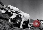 Image les agriculteurs allemands Allemagne, 1944, de la seconde 31 séquences d'archives historiques vidéo 65675020573