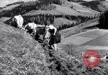 Image les agriculteurs allemands Allemagne, 1944, de la seconde 37 séquences d'archives historiques vidéo 65675020573