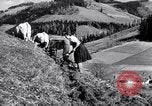 Image les agriculteurs allemands Allemagne, 1944, de la seconde 38 séquences d'archives historiques vidéo 65675020573