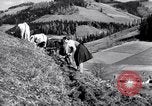Image les agriculteurs allemands Allemagne, 1944, de la seconde 39 séquences d'archives historiques vidéo 65675020573