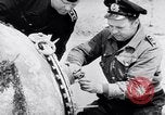 Immagine di Miniere navale Germania, 1944, secondo 20 filmato di repertorio 65675020579
