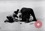 Immagine di Miniere navale Germania, 1944, secondo 22 filmato di repertorio 65675020579