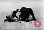 Immagine di Miniere navale Germania, 1944, secondo 23 filmato di repertorio 65675020579
