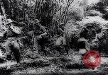 Image of New Guinea Campaign Papua New Guinea, 1944, second 33 stock footage video 65675020581