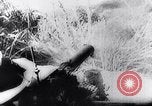 Image of New Guinea Campaign Papua New Guinea, 1944, second 38 stock footage video 65675020581