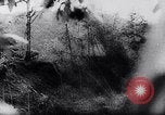 Image of New Guinea Campaign Papua New Guinea, 1944, second 44 stock footage video 65675020581