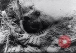 Image of New Guinea Campaign Papua New Guinea, 1944, second 45 stock footage video 65675020581