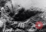 Image of New Guinea Campaign Papua New Guinea, 1944, second 46 stock footage video 65675020581