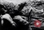 Image of New Guinea Campaign Papua New Guinea, 1944, second 54 stock footage video 65675020581