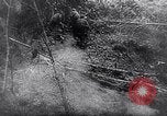 Image of New Guinea Campaign Papua New Guinea, 1944, second 58 stock footage video 65675020581