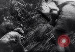 Image of New Guinea Campaign Papua New Guinea, 1944, second 61 stock footage video 65675020581