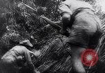 Image of New Guinea Campaign Papua New Guinea, 1944, second 62 stock footage video 65675020581