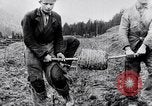 Immagine di Soldati tedeschi e ungheresi della seconda guerra mondiale Carpazi Europa, 1944, secondo 28 filmato di repertorio 65675020582