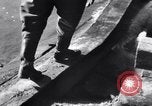 Standbild Deutsche Infanterie Ostfront, 1943, aus Sekunde 20 historischem Filmmaterial Videoclip 65675020586