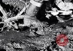 Standbild Deutsche Infanterie Ostfront, 1943, aus Sekunde 49 historischem Filmmaterial Videoclip 65675020586
