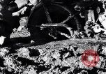 Standbild Deutsche Infanterie Ostfront, 1943, aus Sekunde 58 historischem Filmmaterial Videoclip 65675020586
