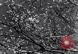 Image of German Infantry Eastern Europe, 1943, second 5 stock footage video 65675020587