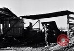 Image of German Infantry Eastern Europe, 1943, second 13 stock footage video 65675020587