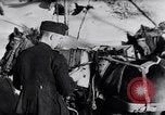Image of German ski troops in World War 2 Finland, 1943, second 11 stock footage video 65675020588