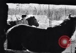 Image of German ski troops in World War 2 Finland, 1943, second 14 stock footage video 65675020588