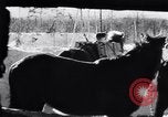 Image of German ski troops in World War 2 Finland, 1943, second 15 stock footage video 65675020588