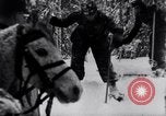 Image of German ski troops in World War 2 Finland, 1943, second 19 stock footage video 65675020588