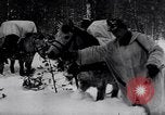 Image of German ski troops in World War 2 Finland, 1943, second 22 stock footage video 65675020588