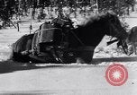 Image of German ski troops in World War 2 Finland, 1943, second 27 stock footage video 65675020588