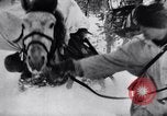 Image of German ski troops in World War 2 Finland, 1943, second 35 stock footage video 65675020588