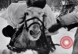 Image of German ski troops in World War 2 Finland, 1943, second 36 stock footage video 65675020588
