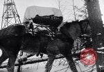 Image of German ski troops in World War 2 Finland, 1943, second 40 stock footage video 65675020588