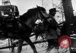 Image of German ski troops in World War 2 Finland, 1943, second 43 stock footage video 65675020588