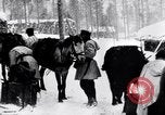 Image of German ski troops in World War 2 Finland, 1943, second 50 stock footage video 65675020588