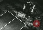 Immagine di Gioventù tedesca Bratislava Slovacchia, 1942, secondo 46 filmato di repertorio 65675020594