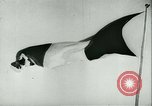 Image of French officer France, 1942, second 39 stock footage video 65675020597