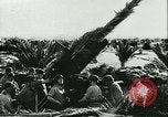 Standbild deutsche Truppen Tunesien Nordafrika, 1942, aus Sekunde 30 historischem Filmmaterial Videoclip 65675020598