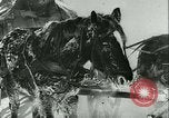 Standbild deutsche Truppen Russland, 1941, aus Sekunde 31 historischem Filmmaterial Videoclip 65675020599