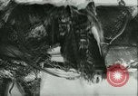Standbild deutsche Truppen Russland, 1941, aus Sekunde 32 historischem Filmmaterial Videoclip 65675020599
