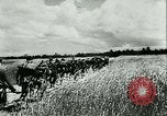 Image of German motorized columns Russia, 1942, second 3 stock footage video 65675020602