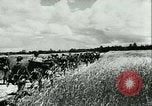 Image of German motorized columns Russia, 1942, second 4 stock footage video 65675020602